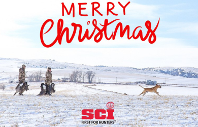 2023 Merry Christmas